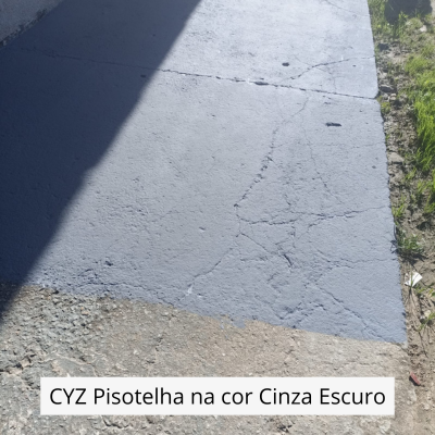 CYZ Pisotelha na cor Cinza Escuro